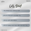디엠플러스