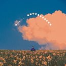 수우정보 네이버블로그