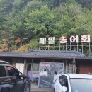 메밀사랑 이미지