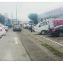 창녕한우 이미지