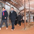 감일문화공원 이미지