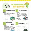 행복한 꼬마 거북이 이미지