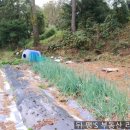 뚜꺼비공인중개사사무소 이미지