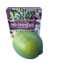 신진2농장 이미지