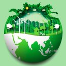 고체 샴푸바 만들기 이미지