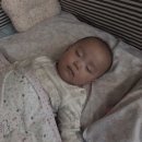 위드미 광주무등파크점 | [삼월다섯째주일상] 조대 퀴즈노스. 양림동 샵마카룬. 첨단 수진초밥. 영화 7년의밤 후기
