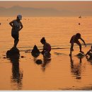 다대포의 저녁노을 이미지