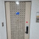 대림아파트 티스토리