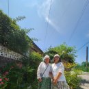 꽃냥이네 촌집 이미지