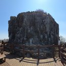 안민도로 위(전망대아래) | 힘들게 올라, 벚꽃으로 내려오다 - 진해 시루봉·웅산 능선부터 안민고개, 경화역까지