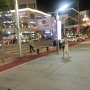 금빠 | [자라세일][청주 지웰시티몰 자라/ 슈스파] 자라 세일 놓치지 마세요~!!