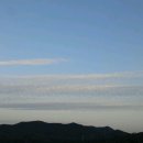 파파호두 이미지