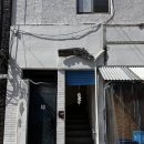 대구 중구 종로 신상 찻집 가오픈 리프온립 솔직후기