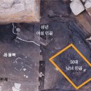 월성장식