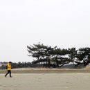 솔모랫길 이미지