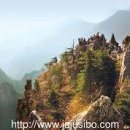 명심보감 이미지