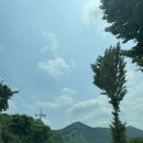 [충북캠핑] 산과 계곡으로 둘러쌓인 소규모 깃대캠핑장 솔직후기 : 하나 (드론촬영까지!)