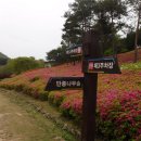 철쭉공원 이미지