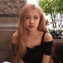 로제헤어 이미지
