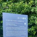 식산봉의 황근자생지 및 상록활엽수림 이미지