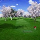 혁신스크린골프 이미지