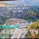 여울애꽃물들인 이미지