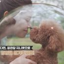 지니스토아