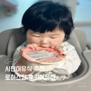 (주)닥터엔누리 | 시판 이유식 추천 로하스밀 후기 입자감 일주일 메뉴구성