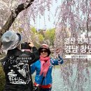 능수기획