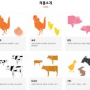 고려사료주식회사 이미지