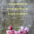 스마트폰과 PC활용 이미지