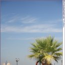 팰리스 호텔(PALACE HOTEL) 이미지