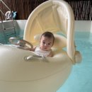 스테이 신사리 이미지