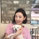 옳치 올치 이미지