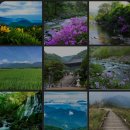 정기산행. 및.캠핑. 가족. 여름 .휴가 .25년.7.18부터. 8월 초까지 .지리산. 주변 칠선계곡. 이미지