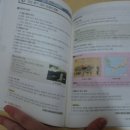 점리농장 이미지