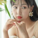 하울그라피 이미지