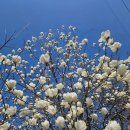 화담펜션 | 고즈넉하니 쉬고 오기 좋았던 화담숲펜션 후기