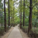 문정시영아파트(8동앞) 이미지