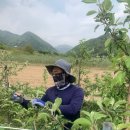 흥이많은농부 이미지