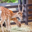 진고개가든 이미지