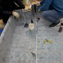 신월동247 이미지