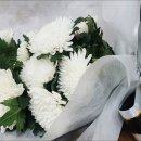 하나의전 이미지