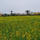 모들공간 이미지