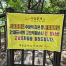 증산-001 이미지