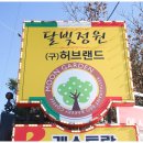 정원달빛 이미지