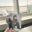 (주)세토리 | sonic bloom 2025 후기 | 테라시마 쥰타 중심