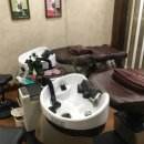 앙포레모리노 이미지