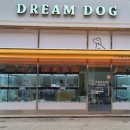 드림독 강아지분양 안심분양센터 인천점 이미지