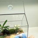 정원교실 이미지